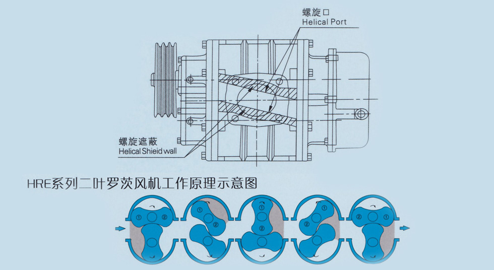 二葉-原理圖.jpg